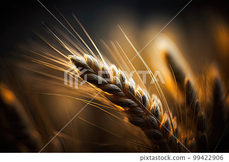 AI generated macro photography of wheat on field AI generated macro photography of wheat on field 99422906