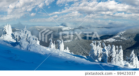 Winter mountain panorama with snowy trees Winter mountain panorama with snowy trees 99423037