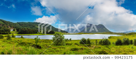 Lofoten fjord summer overcast view 99423175