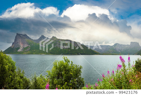 Fjord summer cloudy view, Norway 99423176