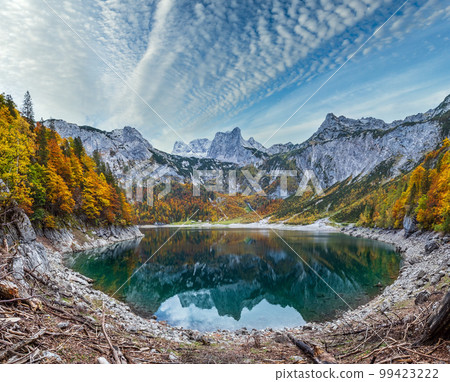 Tree stumps after deforestation near Hinterer Gosausee lake, Upper Austria. Autumn Alps mountain lake with clear transparent water and reflections. Dachstein summit and glacier in far. 99423222