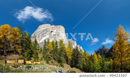 Autumn alpine Dolomites rocky  mountain scene, Sudtirol, Italy. Peaceful view near Wolkenstein in Groden, Selva di Val Gardena. 99423397