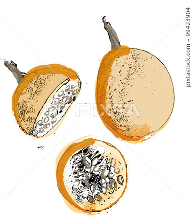 Maracuya fruit vintage watercolor ripe seeds vectors 99423904