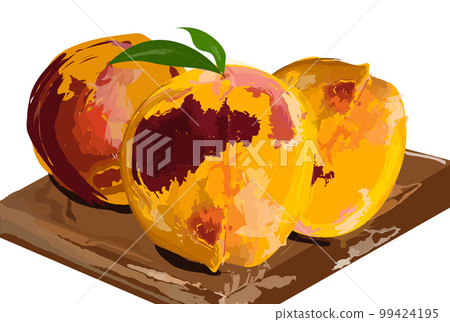Peach fruits harvest in fall autumn season Vector watercolors Peach fruits harvest in fall autumn season Vector watercolors 99424195