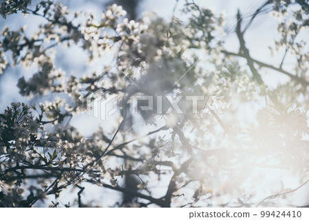 Abstract spring background 99424410