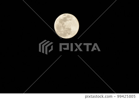 Hakushu-cho, Hokuto City, Komochizuki on the 14th day of February, age 14.3 (location: top center) 99425805