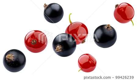 Falling black and red currant isolated on white background 99426239