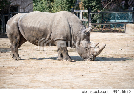 南方白雨 南方白雨 99426630