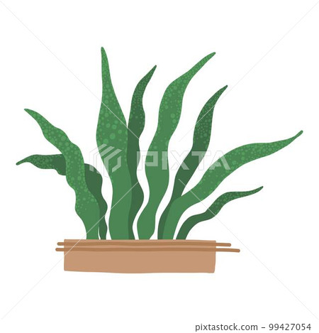 Different tropical house plant. Ficus, monstera, protea, pellaea, succulent in various pot, vase. Scandinavian cozy home decor. Flat vector cartoon illustration isolated on white 99427054
