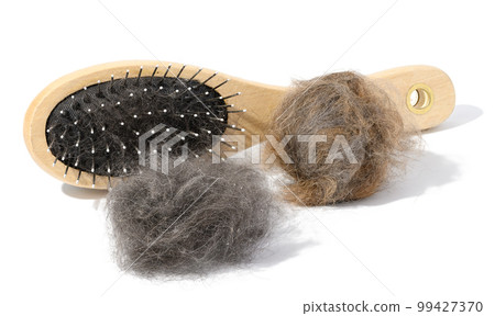 Wooden brush for combing animal fur and gray balls of cat fur on a white background 99427370