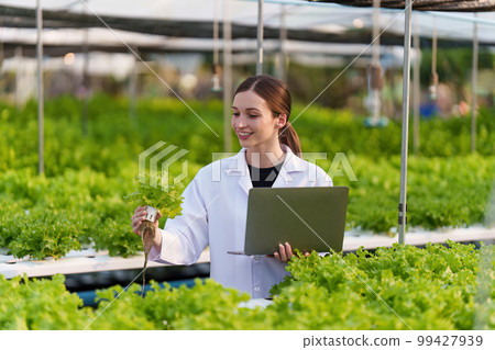 Science team working and researching in hydro and organic farm. Quality check, laboratory greenhouse concept. 99427939