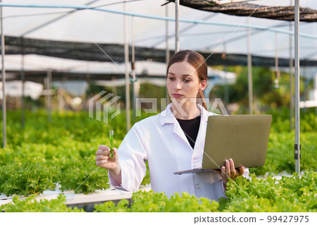 Science team working and researching in hydro and organic farm. Quality check, laboratory greenhouse concept. Science team working and researching in hydro and organic farm. Quality check, laboratory greenhouse concept. 99427975