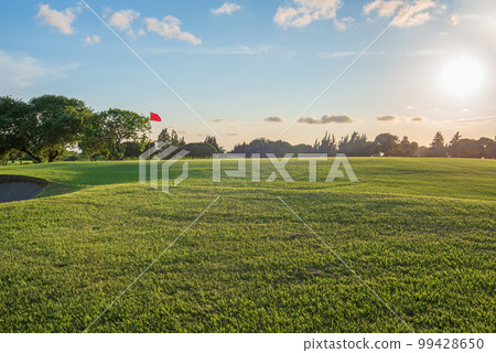 Summer golf course No people 99428650
