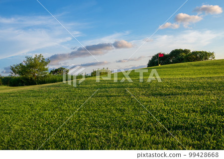 Summer golf course No people 99428668