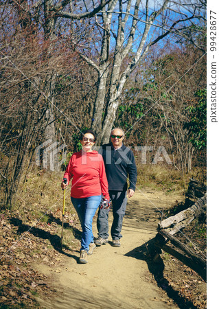 Senior couple hiking 99428677