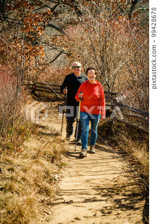 Senior couple hiking 99428678
