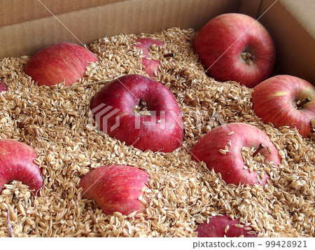 Apple Sun Fuji 水果稻殼緩衝甜點 Apple Sun Fuji 水果稻殼緩衝甜點 99428921