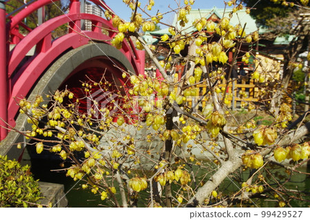 紅鼓橋和日本五香粉 99429527