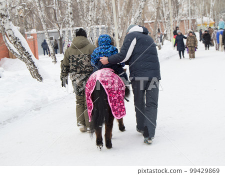 Happy family for a walk in Park-father teaches a young child to ride a pony 99429869