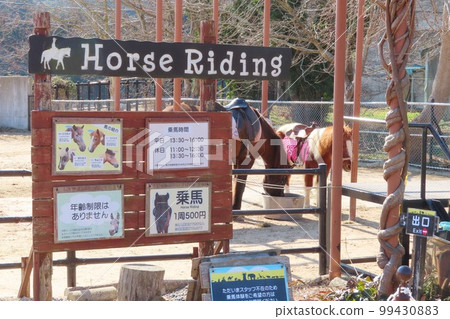 [Yamaguchi Prefecture] Akiyoshidai Natural Zoological Park Safari Land Horse Riding Park 99430883