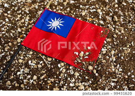 土地上的旗幟 土地上的旗幟 99431620