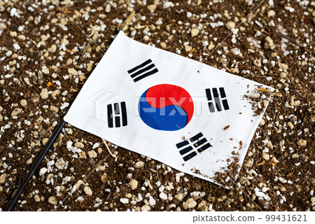 土地上的旗幟 土地上的旗幟 99431621