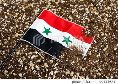 土地上的旗幟 99431623