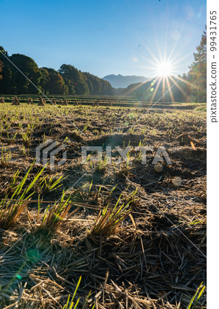 Rural scenery after the harvest in Shinshu, Nagano Prefecture 99431765