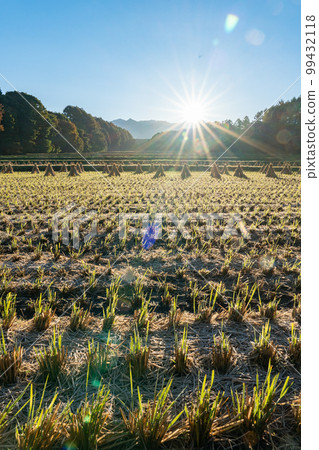 長野縣信州市收穫後的田園風光 99432118