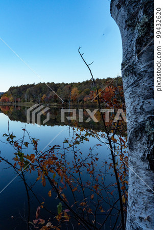 Shirakaba Kogen in autumn, Lake Megami, Nagano Prefecture 99432620