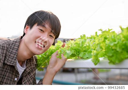 Happy and cute young Asian male organic salad farm owner is in the hydroponic greenhouse Happy and cute young Asian male organic salad farm owner is in the hydroponic greenhouse 99432685
