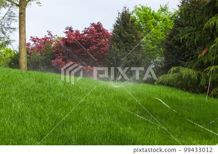 Garden irrigation system lawn. Automatic lawn sprinkler watering green grass. Selective focus. Garden irrigation system lawn. Automatic lawn sprinkler watering green grass. Selective focus. 99433012
