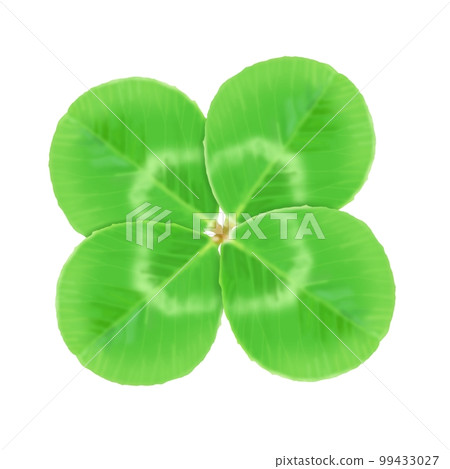 four Leaf Clover  99433027