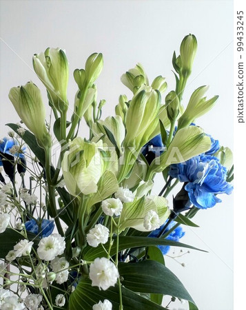 一束清爽的影像 99433245