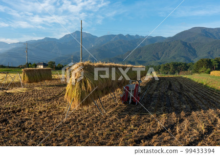 長野縣諏訪區秋季收穫後的鄉村景觀 99433394