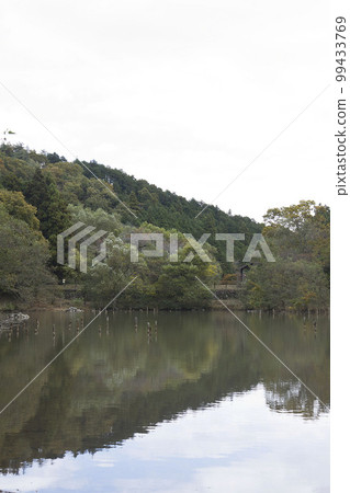 Mid-November: Sekigahara Eco Field Hachimanike 99433769