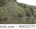 Mid-November: Sekigahara Eco Field Hachimanike 99433775