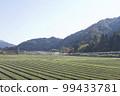 Mid-November Sekigahara Satoyama scenery 99433781
