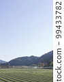 Mid-November Sekigahara Satoyama scenery 99433782