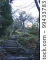 Mid-November Stairs to the summit of Sekigahara Matsuoyama 99433783