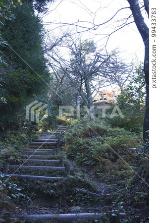 Mid-November Stairs to the summit of Sekigahara Matsuoyama Mid-November Stairs to the summit of Sekigahara Matsuoyama 99433783