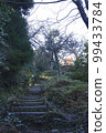 Mid-November Stairs to the summit of Sekigahara Matsuoyama 99433784