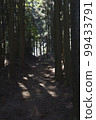 Mid-November Sunlight filtering through the trees on the descent from the summit of Sekigahara Matsuoyama 99433791