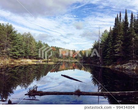 加拿大阿爾岡昆公園的湖 加拿大阿爾岡昆公園的湖 99434804