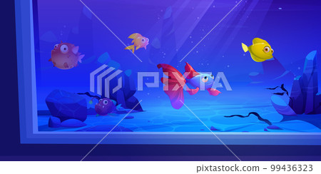 Underwater marine aquarium illustration with fish 99436323
