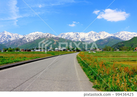 Hakuba village with rapeseed blossoms, the snowy Northern Alps, and the beautiful Northern Alps Hakuba village with rapeseed blossoms, the snowy Northern Alps, and the beautiful Northern Alps 99436425