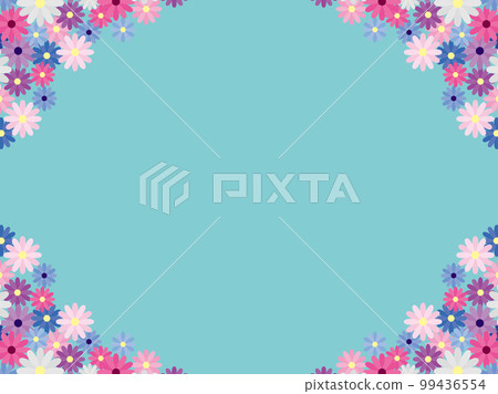 Cineraria F2 Cineraria F2 99436554