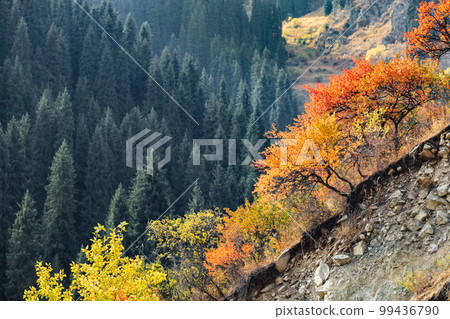 Early autumn in the mountains of central asia in Kazakhstan Early autumn in the mountains of central asia in Kazakhstan 99436790