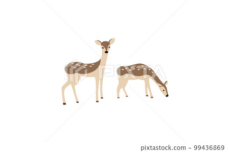 兩隻鹿的插圖沒有輪廓 兩隻鹿的插圖沒有輪廓 99436869