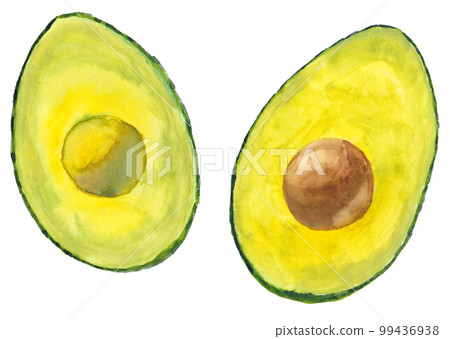 Avocado split in two watercolor material 99436938